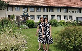 Pension Adler